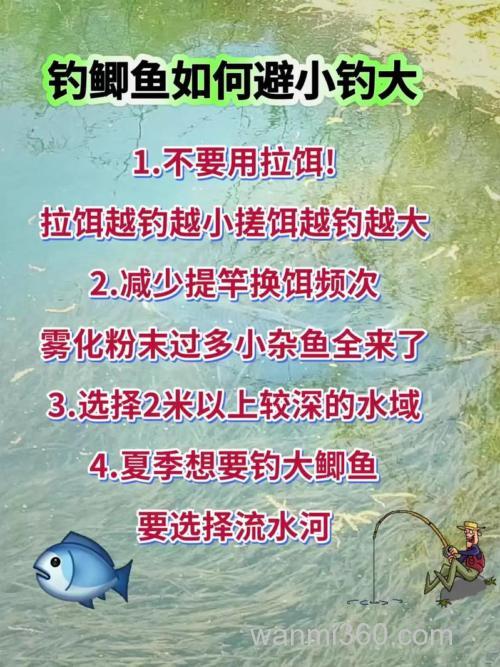 鲫鱼如何钓大避小
