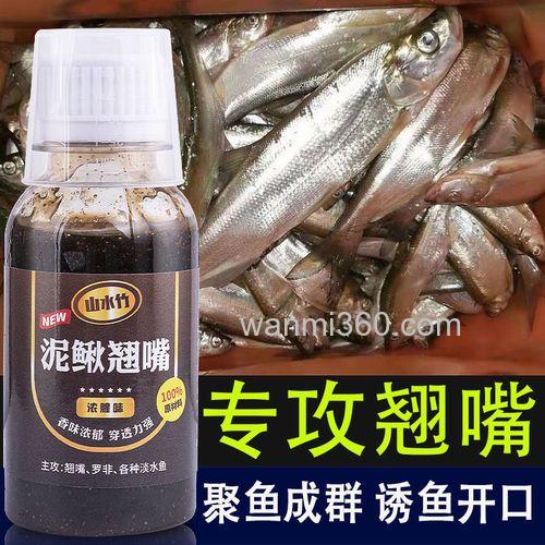 用什么小药泡制泥鳅钓翘嘴?