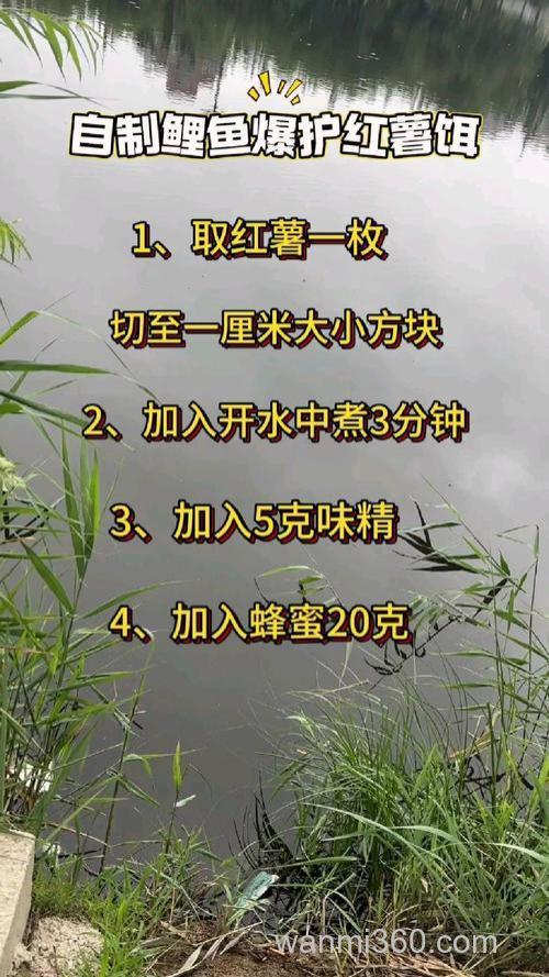鲤鱼红薯饵料怎么做?