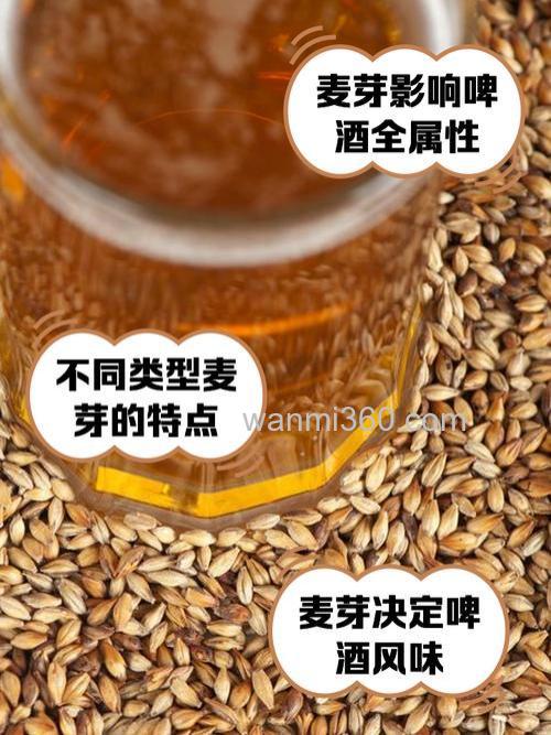 啤酒麦粒的做法?
