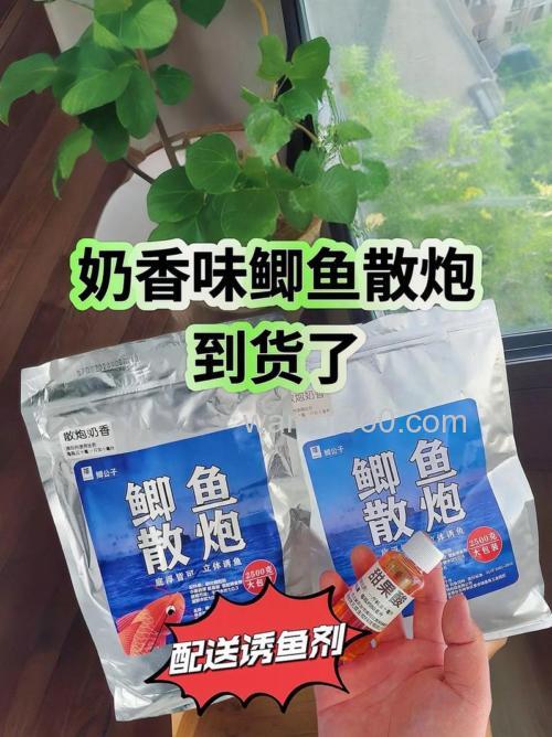 打鲫鱼窝奇奶香加什么最好？