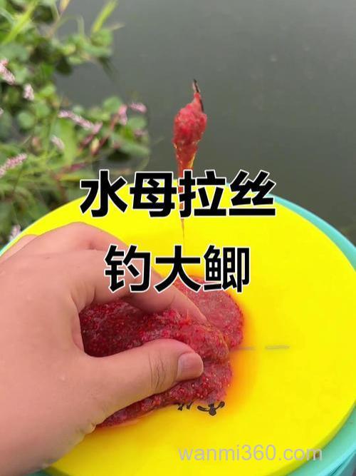 水母大师可以钓鲫鱼吗?