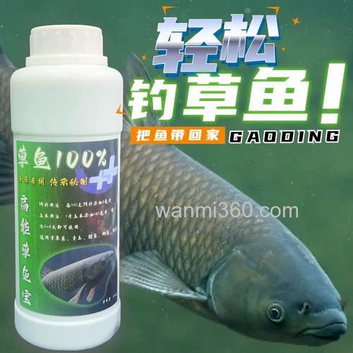 泡玉米钓草鱼最佳配方？