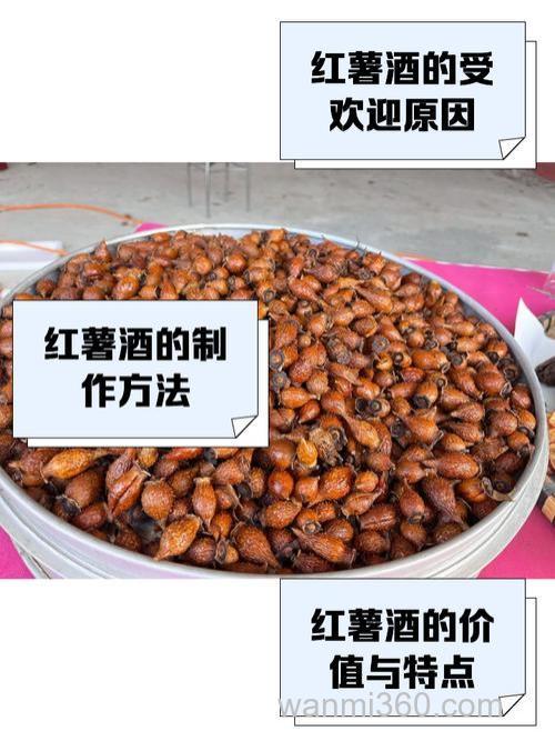 红薯泡蜂蜜曲酒钓鱼饵料如何配制?