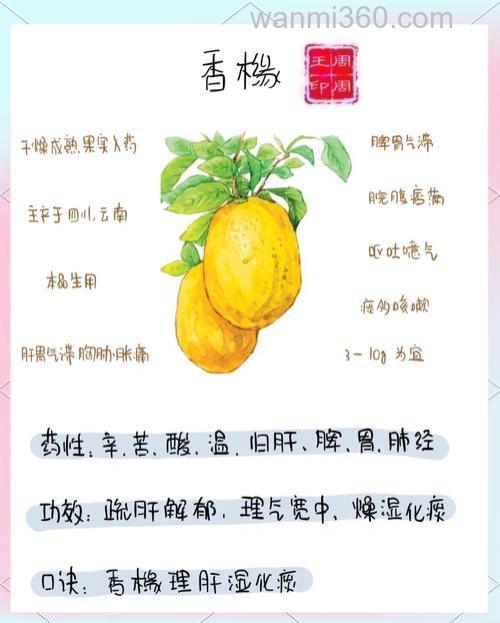 麝香果酸最佳搭配?