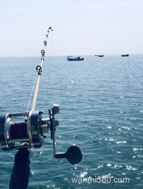威海海钓攻略:如何选择钓点?掌握技巧,收获乐趣与安全