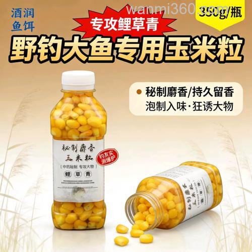 麝香玉米粒钓什么鱼?