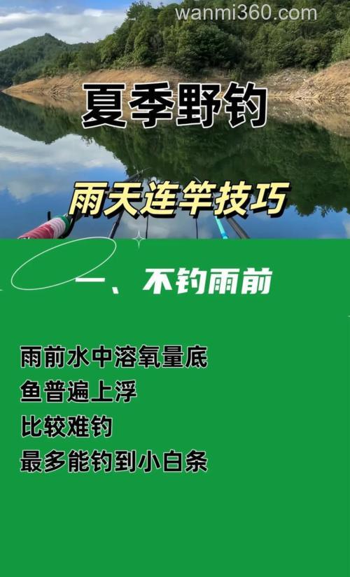 夏雨海钓技巧:如何选择钓点?掌握潮汐、天气,提升渔获量