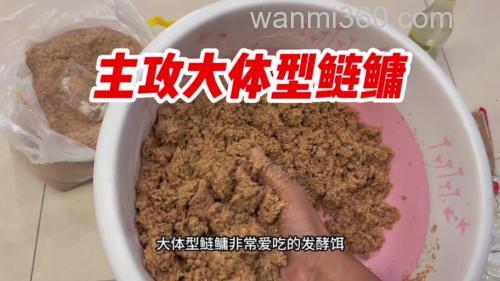 鲢鳙饵料加白醋效果好吗?