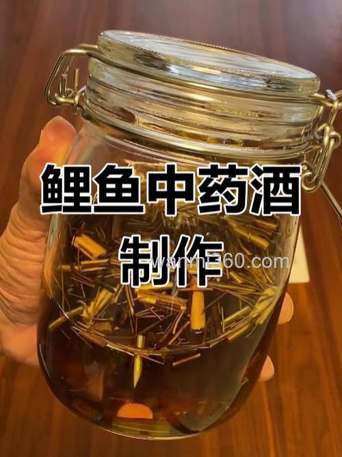 秘制鲤鱼药酒北方专用