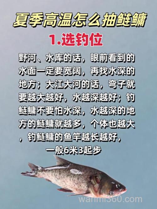 为什么夏天容易钓鲢鳙?