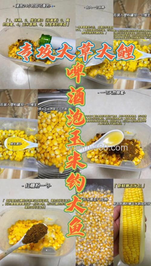 用嫩玉米怎么泡制钓鱼窝料?