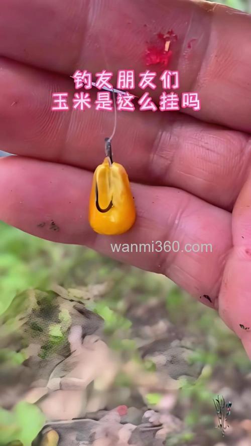 钓鱼老包谷了如何开制