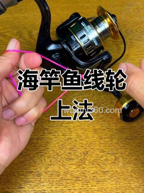 手轮海钓乐趣多,新手如何选钓点?掌握潮汐、观察鱼讯是关键