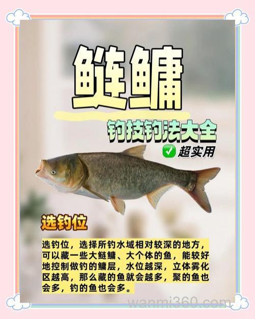 野钓鲢鳙解密新手不太了解的内容