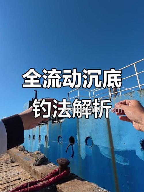 沉船海钓技巧全解析:如何选择钓点、借助鱼探器,提高渔获量