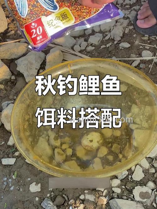 螺鲤3号钓鲤鱼最佳配方?