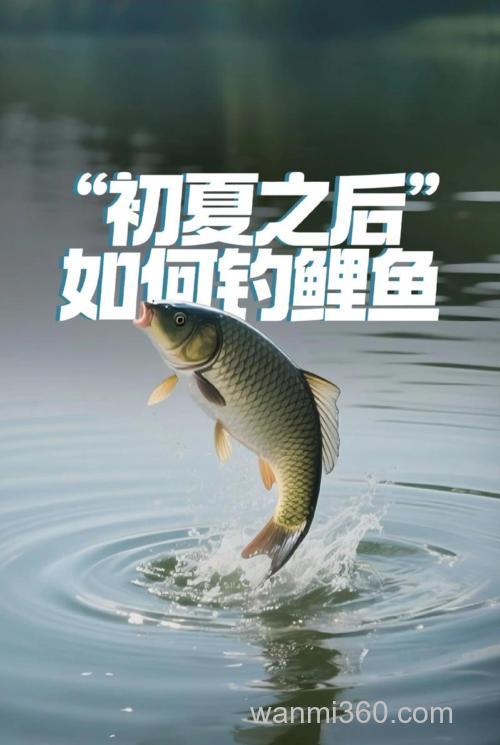 夏天深水塘怎样钓鲤鱼