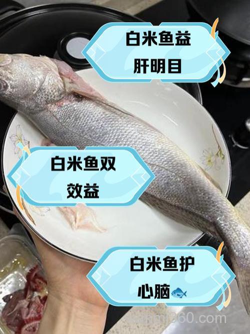 剩饭剩菜的潲水能喂什么鱼？
