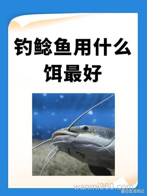 细鲶鱼用什么饵钓比较好？