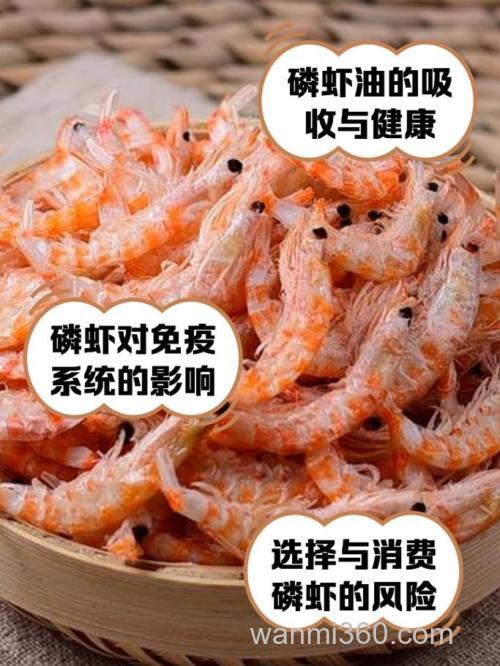 为什么南极虾不能养在我国海南