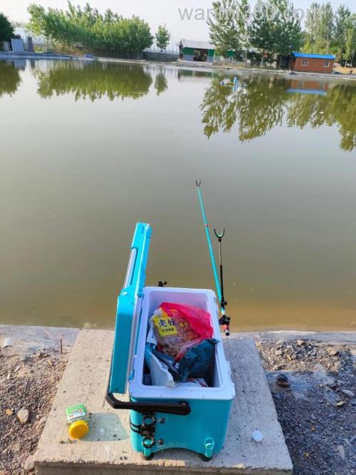 鲤鱼料浮钓鲢鳙效果好吗?