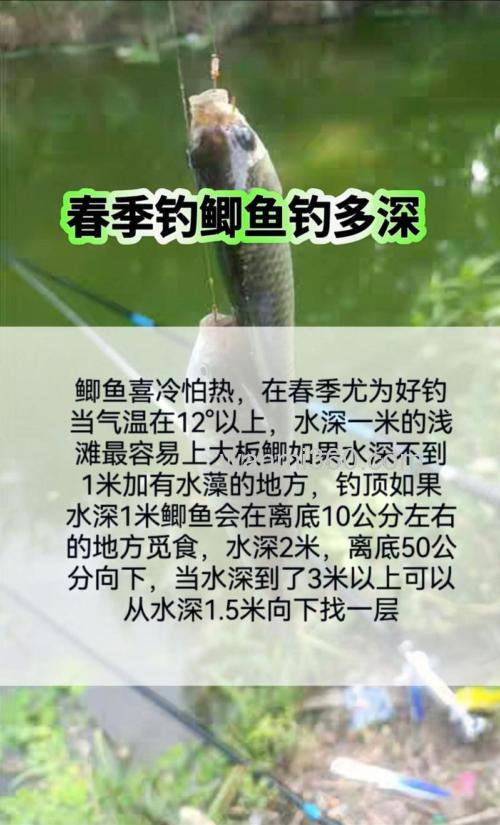 春钓鲫鱼水深多少合适