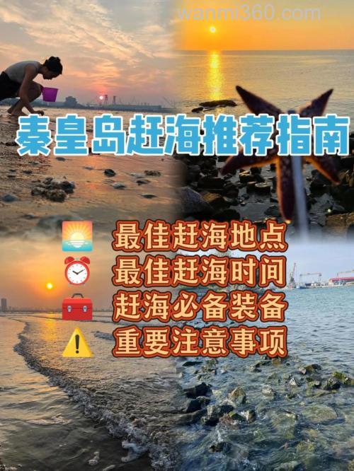 海钓赶海技巧:如何选择最佳时机与钓点?掌握潮汐,安全又丰收