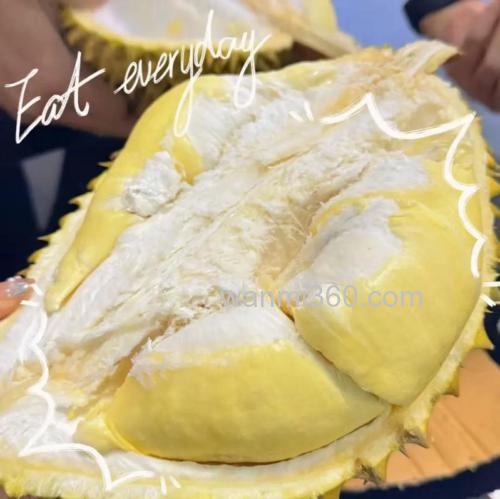 金鱼榴莲是什么品种?