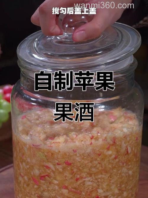 苹果甜酒酿的做法步骤图，苹果甜酒酿怎么做