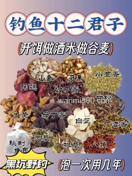 黑坑钓鱼饵料跟小药怎样搭配？