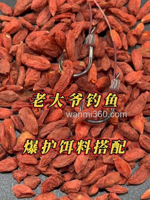 枸杞钓鱼的方法是什么?