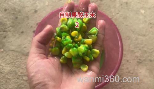 自制草鱼果酸?