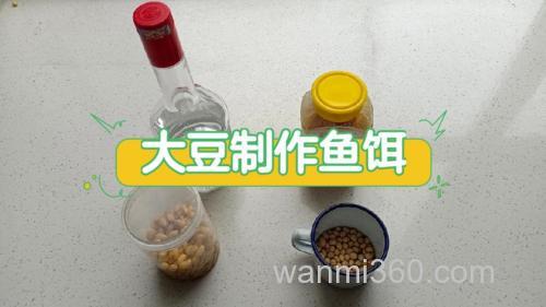 黄豆如何做鱼饵？