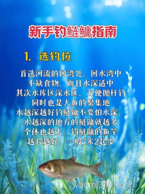 想要鲢鳙钓的大这几点注意很重要