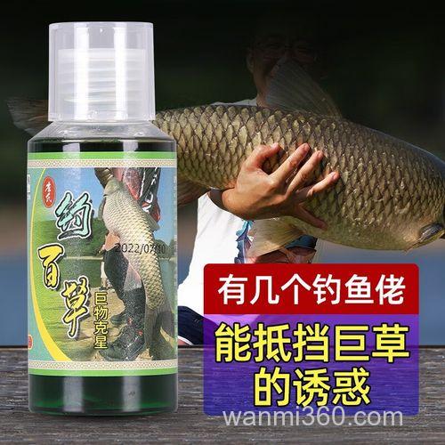 钓黑坑草鱼用什么饵最好