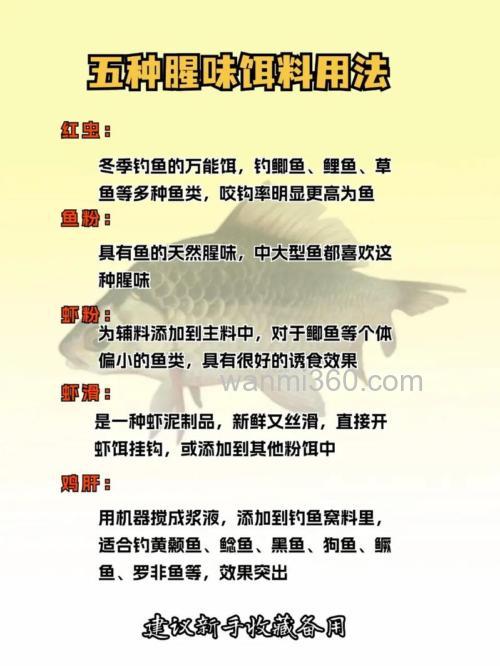 腥香型饵料怎么搭配