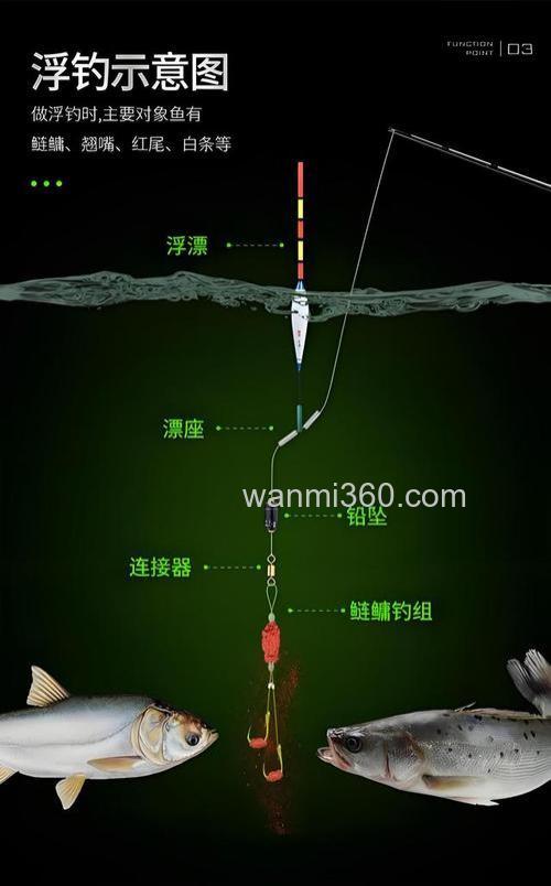 手竿钓鲢鳙怎么钓?鲢鳙钓法技巧