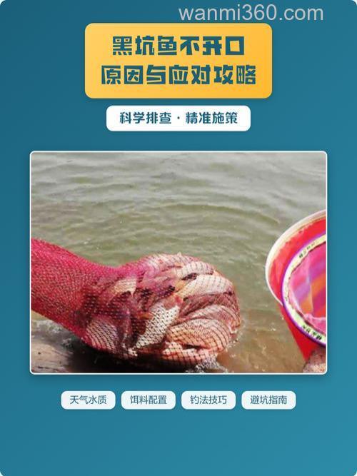鱼不开口的原因及解决方法有哪些?