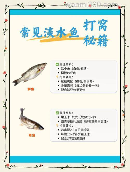 针对不同鱼类的打窝秘笈
