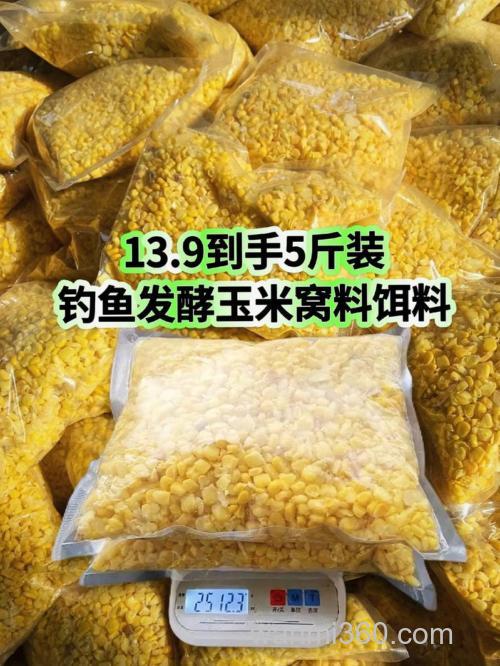 干玉米怎样发酵钩鱼?