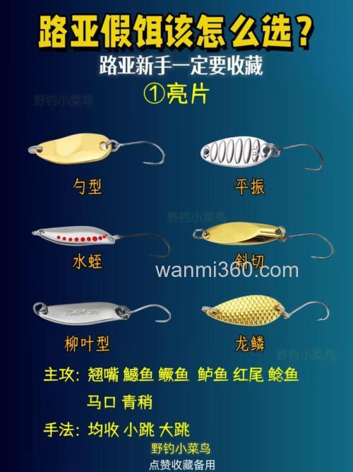 水库路亚用什么饵?