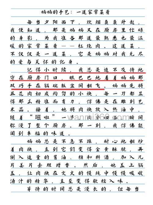 急求作文:妈妈的手艺