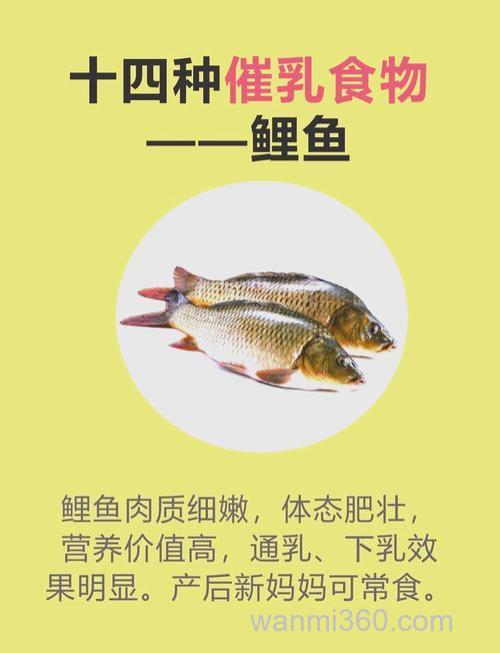 鲤鱼可以吃吗