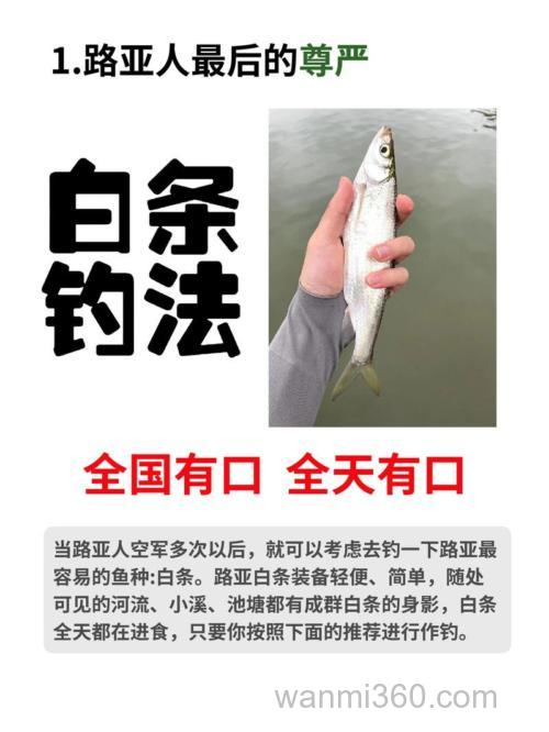 怎么才能半水腥饵抽白条?