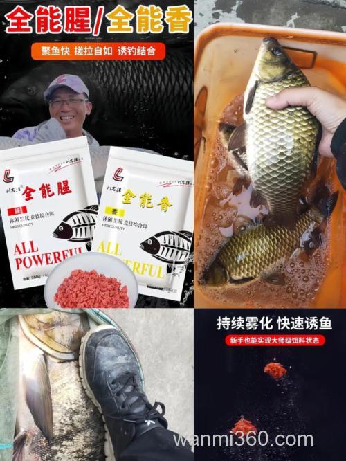 刘志强冬天钓鲑鱼饵料搭配？