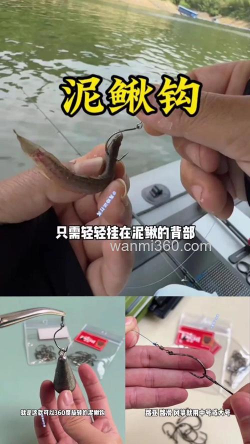 泥鳅钓翘嘴鱼的技巧和方法有哪些?