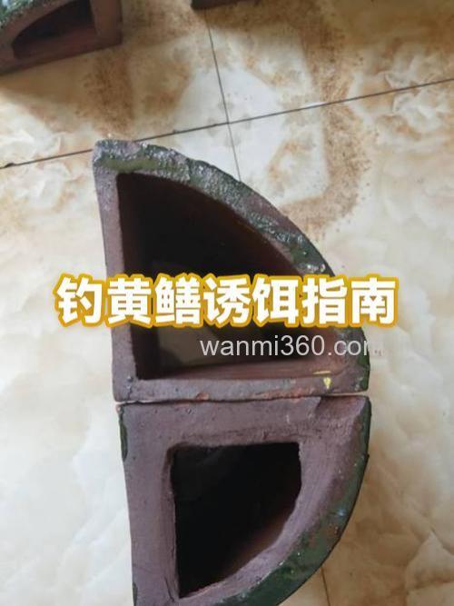 钓黄鳝全攻略:最低温度与最佳起始月份揭秘