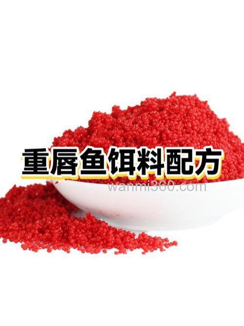 钓鲤鱼 麦麸和曲酒怎么调