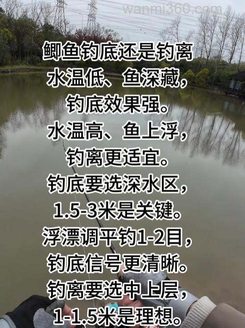深秋钓大鲫鱼钓远还是钓近?